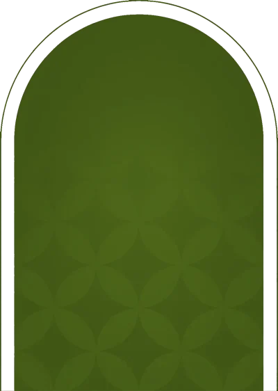 slimi3_olive